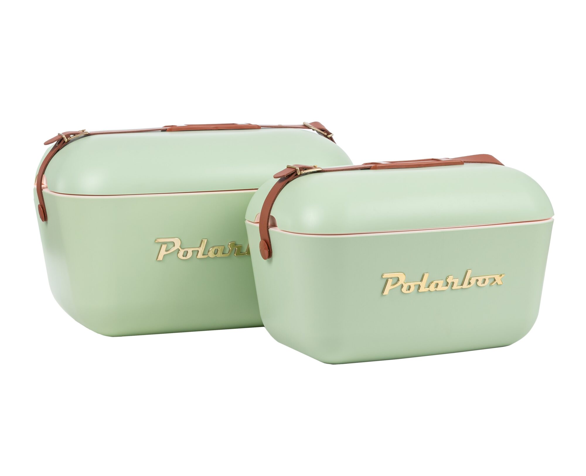 Polarbox Kühlbox Bag in grün kaufen