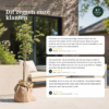 Fruitbomen Appelboom Elstar
