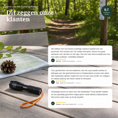 homeys tools Oplaadbare Zaklamp Mel